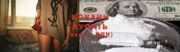 шишки Абинск