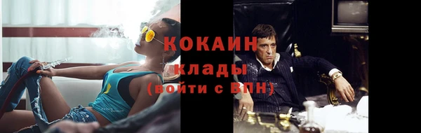 шишки Абинск