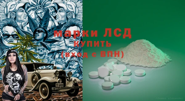 шишки Абинск