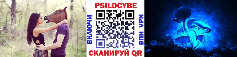 Псилоцибиновые грибы мухоморы  где купить наркоту  Отрадное 