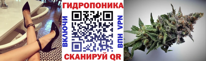 Шишки марихуана MAZAR  Отрадное 